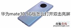 华为mate30 5G版怎么打开双击亮屏