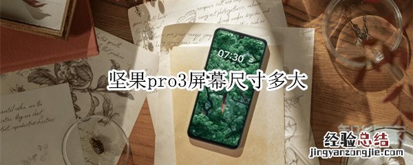 坚果pro3屏幕尺寸多大