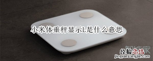 小米体重秤显示L是什么意思