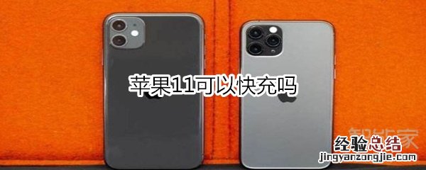 苹果11可以快充吗