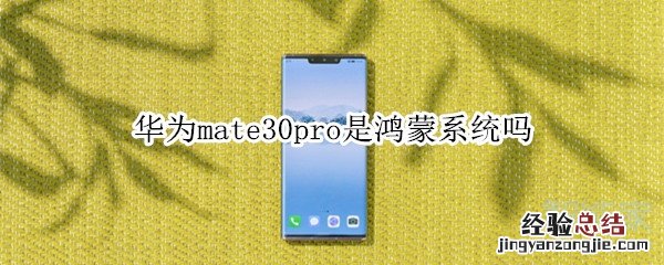 华为mate30pro是鸿蒙系统吗