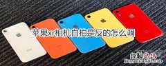 苹果xr相机自拍是反的怎么调