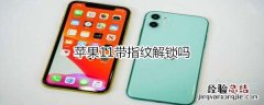苹果11带指纹解锁吗