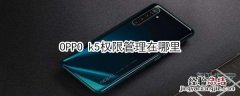 OPPO k5权限管理在哪里