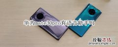 华为mate30pro有语音助手吗