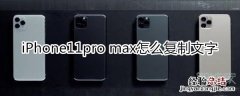 iPhone11pro max怎么复制文字