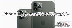 iPhone11pro max怎么分享录音文件