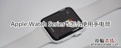 Apple Watch Series 5怎么使用手电筒