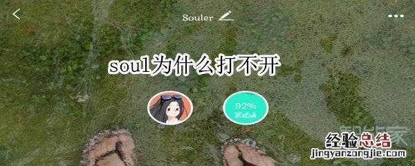 soul为什么打不开
