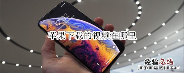苹果下载的视频在哪里
