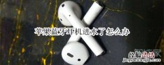 苹果蓝牙耳机进水了怎么办