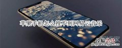 苹果手机怎么搜不到网易云音乐