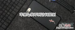 苹果7p找不到访问限制
