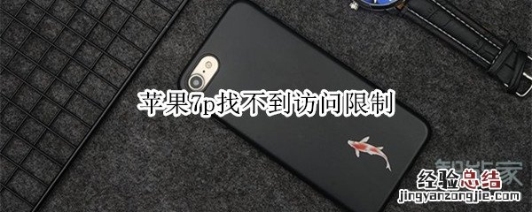 苹果7p找不到访问限制