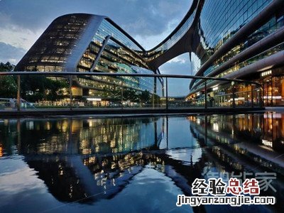 iqoopro是什么处理器
