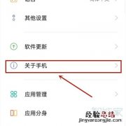 opporeno4se开发者选项在哪里