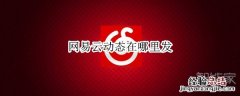 网易云动态在哪里发