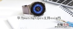华为watchgt2pro支持esim吗