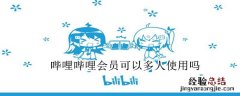 哔哩哔哩会员可以多人使用吗