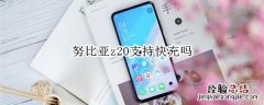 努比亚z20支持快充吗