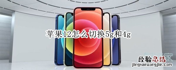 苹果12怎么切换5g和4g