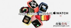 apple watch se防水吗