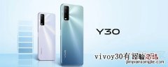 vivoy30有闪充吗