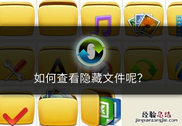 如何查看系统隐藏文件呢?教你一招电脑小技巧