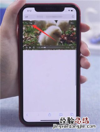 苹果有应用分身功能么