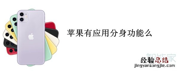苹果有应用分身功能么