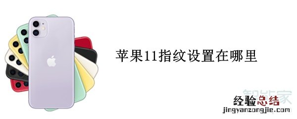 苹果11指纹设置在哪里