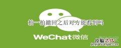 拍一拍撤回之后对方能看到吗