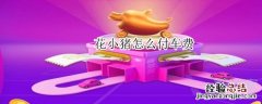 花小猪怎么付车费