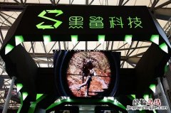 黑鲨2是什么牌子的