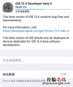 苹果推送ios12.4开发者预览版beta4 更新修复bug