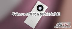 华为mate40开发者模式怎么关闭