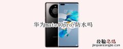 华为mate40pro+防水吗