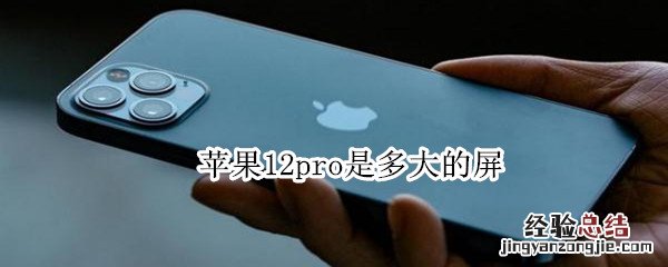 苹果12pro是多大的屏