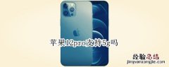 苹果12pro支持5g吗
