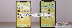 苹果12pro支持120hz吗