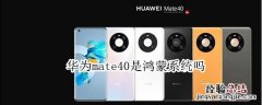 华为mate40是鸿蒙系统吗