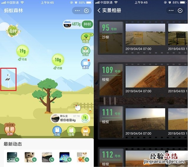 蚂蚁森林怎么看林地实景照片?支付宝蚂蚁森林电子稻草人玩法攻略