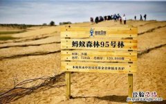 蚂蚁森林怎么看林地实景照片？支付宝蚂蚁森林电子稻草人玩法攻略