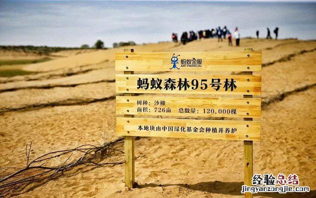 蚂蚁森林怎么看林地实景照片?支付宝蚂蚁森林电子稻草人玩法攻略