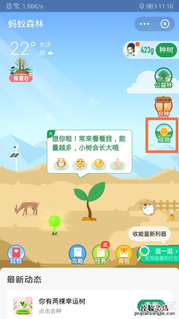 支付宝环保证书在哪里领取