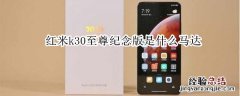 红米k30至尊纪念版是什么马达