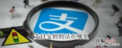 支付宝悄悄话在哪里
