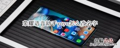 荣耀语音助手yoyo怎么改名字