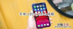 苹果11的siri怎么唤醒