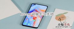 breeno识屏怎么关闭